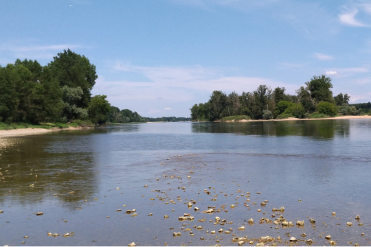 La Loire